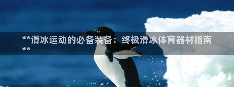 长征平台寇 5O6917 长征：**滑冰运动的必备装