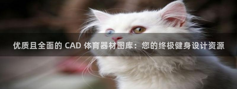 长征平台卜6.7.5.1.3.8：优质且全面的 CA