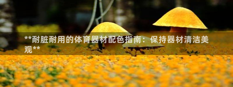 长征娱乐老板是谁：**耐脏耐用的体育器材配色指南：保