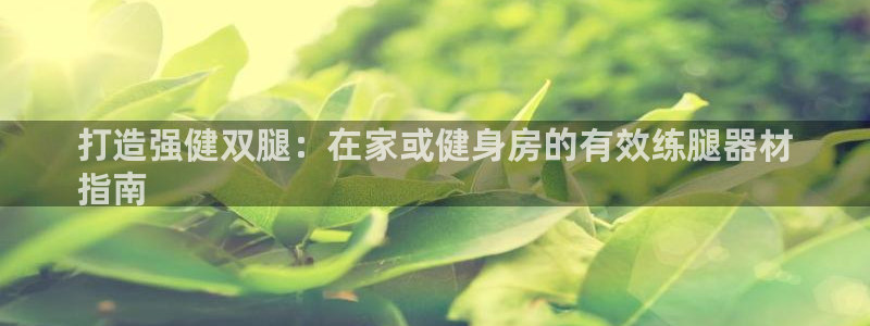 长征集团董事长：打造强健双腿：在家或健身房的有效练腿