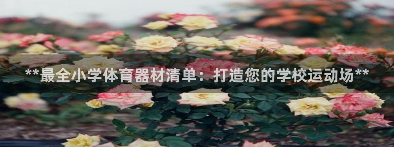 长征集团公益：**最全小学体育器材清单：打造您的学校