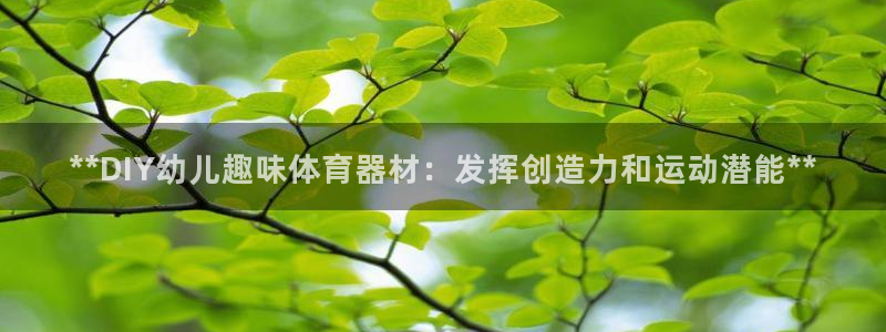 长征娱乐：**DIY幼儿趣味体育器材：发挥创造力和运