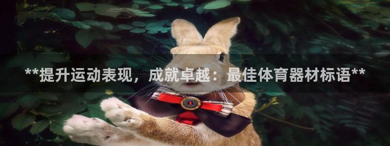 长征微光下载：**提升运动表现，成就卓越：最佳体育器