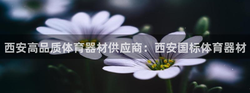 长征娱乐软件下载：西安高品质体育器材供应商：西安国标