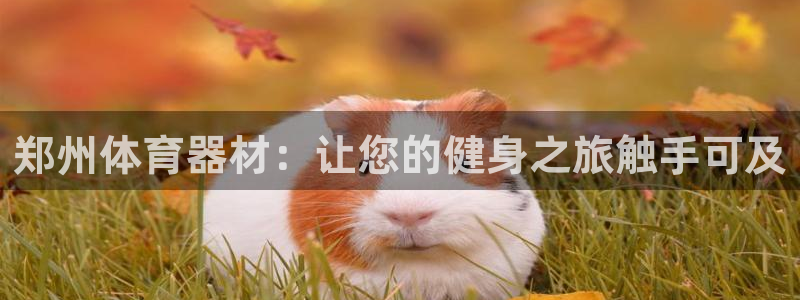 长征娱乐官网首页登录：郑州体育器材：让您的健身之旅触
