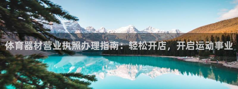 长征三国官网：体育器材营业执照办理指南：轻松开店，开