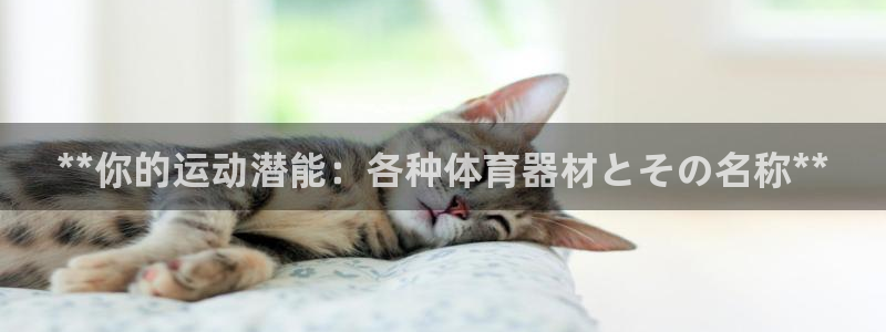 长征辉煌：**你的运动潜能：各种体育器材とその名称*