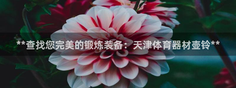 长征平台负责人怎么样：**查找您完美的锻炼装备：天津