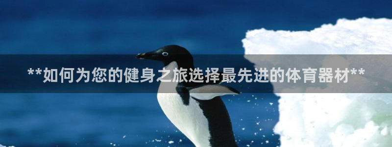 长征幻主：**如何为您的健身之旅选择最先进的体育器材