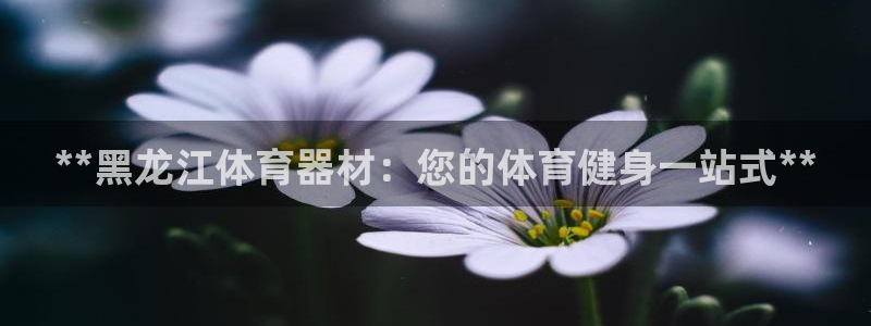 长征微光mp3下载：**黑龙江体育器材：您的体育健身