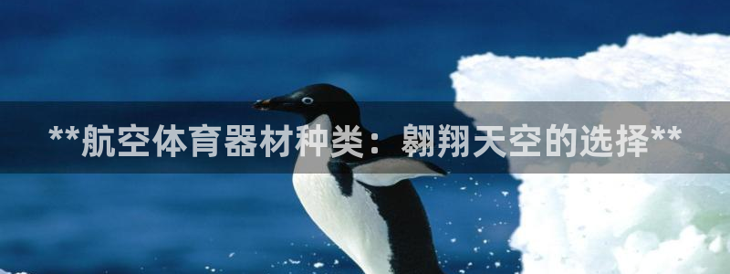 长征平台告7O777：**航空体育器材种类：翱翔天空