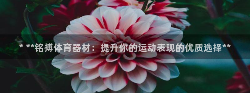 长征娱乐出款快吗是真的吗：* **铭搏体育器材：提升