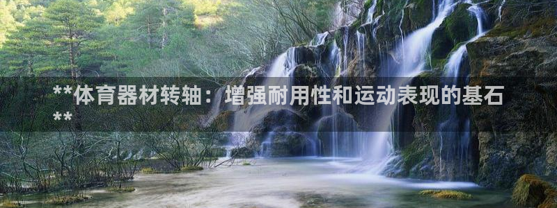 长征娱乐：**体育器材转轴：增强耐用性和运动表现的基