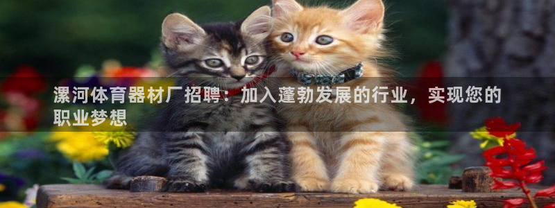 长征平台开户联4.8.7.7.8.4他系稳定吗