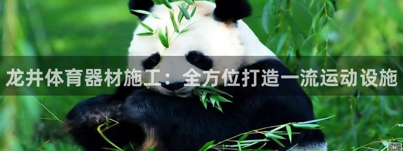 长征娱乐注册官网入口：龙井体育器材施工：全方位打造一