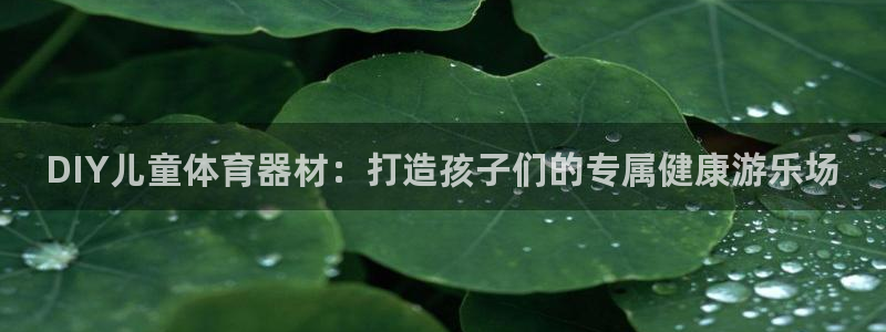 长征平台总代理：DIY儿童体育器材：打造孩子们的专属健康游乐