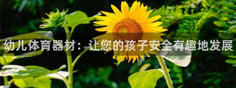 长征平台卜6.7.5.1.3.8：幼儿体育器材：让您