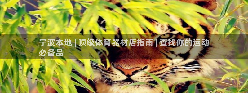 长征娱乐软件下载：宁波本地 | 顶级体育器材店指南 