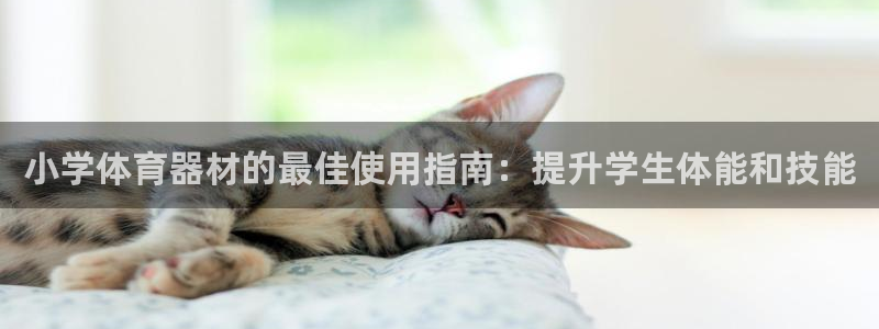 长征娱乐app下载安装最新版：小学体育器材的最佳使用