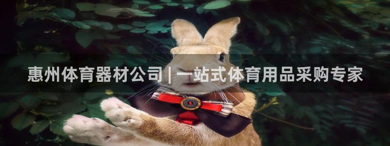 长征娱乐在线登录官网入口：惠州体育器材公司 | 一站式体育用