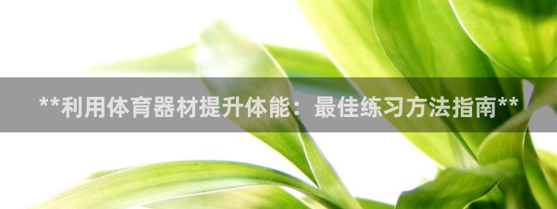 长征娱乐网站官网：**利用体育器材提升体能：最佳练习