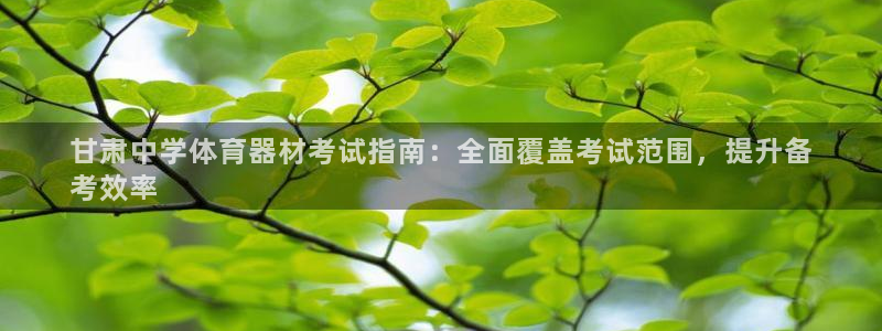长征盛典下载：甘肃中学体育器材考试指南：全面覆盖考试范围，提