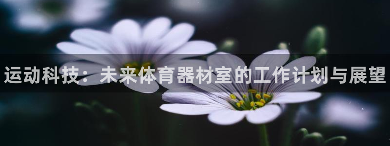 长征娱乐app下载安装手机版