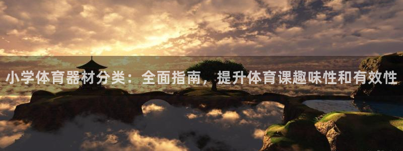 长征娱乐是不是赚钱快：小学体育器材分类：全面指南，提