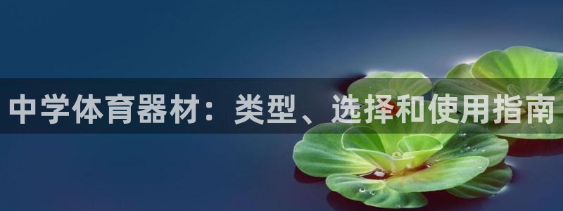 长征娱乐平台官网登录：中学体育器材：类型、选择和使用